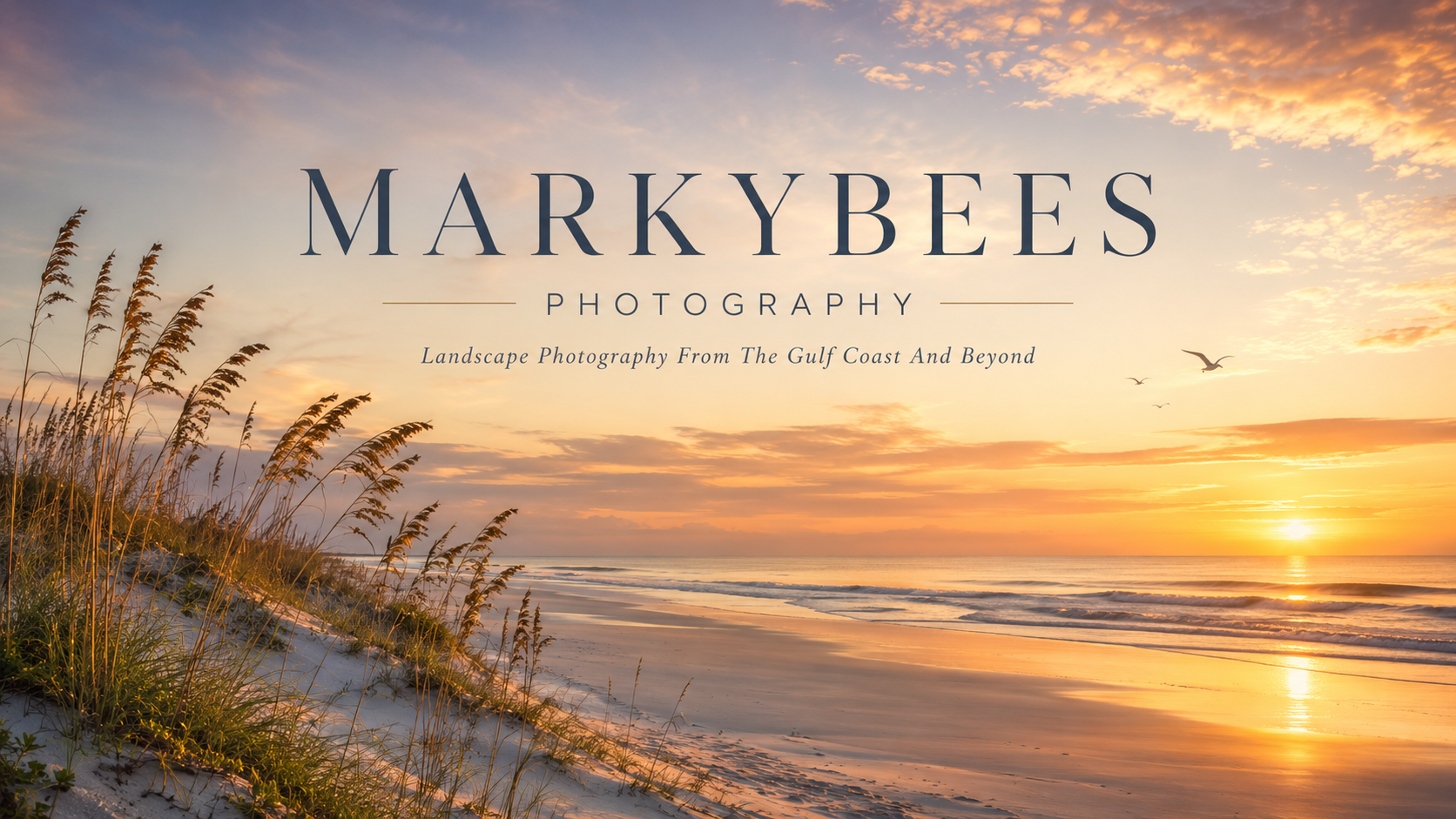 Markybees Photography